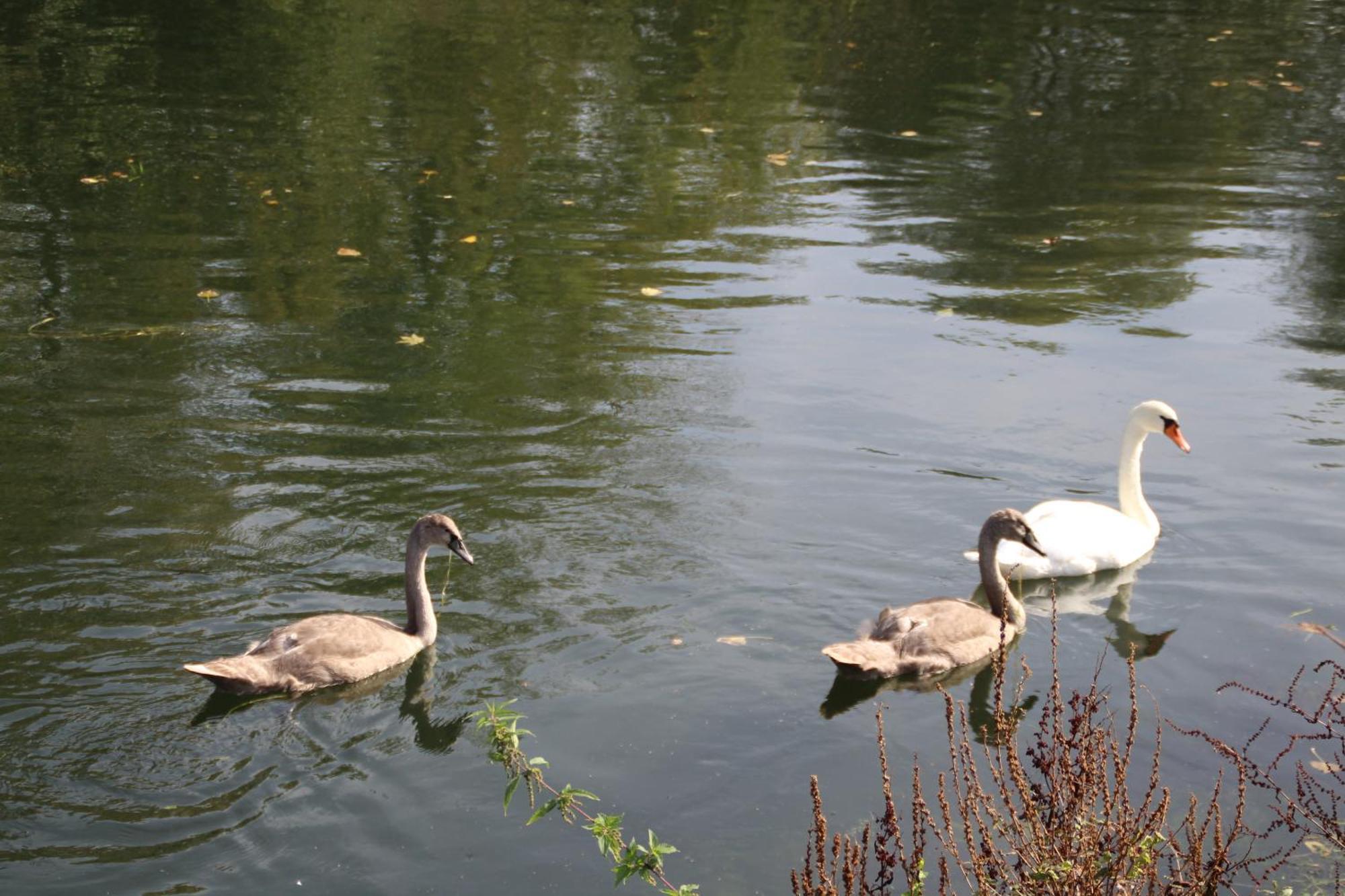 Sealov Hebergements Insolites- Linge, Menage Et Velos Inclus Botel